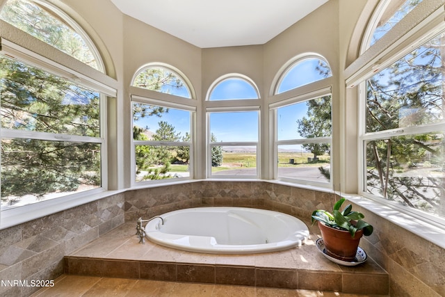2548 Genoa Aspen Dr, Genoa, NV 89411 - full bath with a tub with jets
