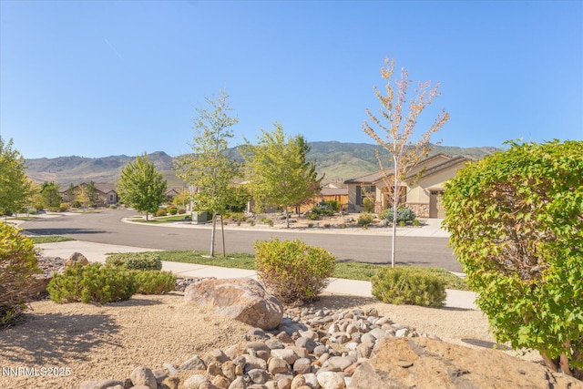 1160 Sugar Creek Trl, Reno, NV 89523 - view of yard featuring a mountain view