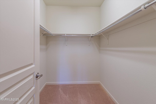 1160 Sugar Creek Trl, Reno, NV 89523 - walk in closet featuring light carpet