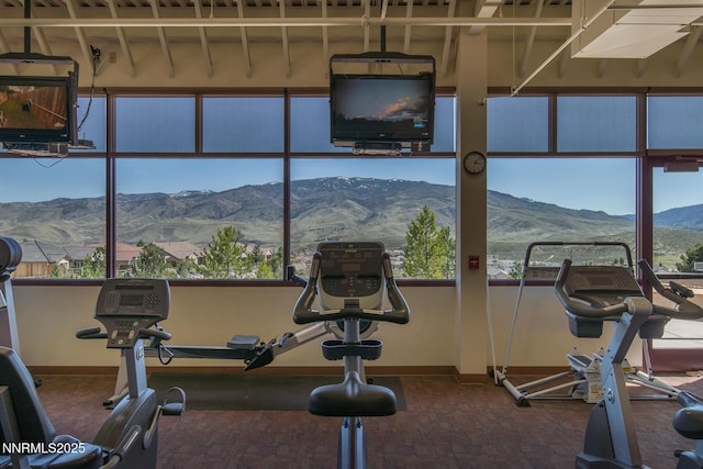 1160 Sugar Creek Trl, Reno, NV 89523 - workout area with baseboards