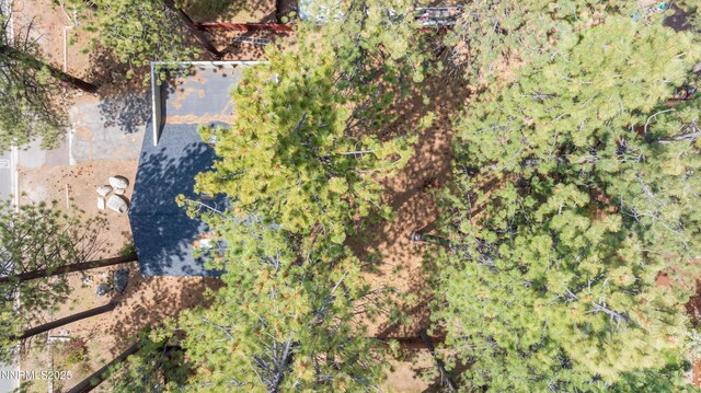 195 Pine Ridge Dr, Stateline, NV 89449 - photo 9