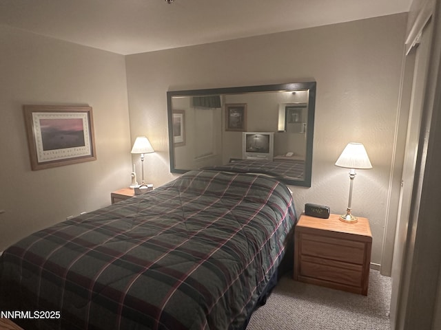 313 Tramway Dr Unit 20, Stateline, NV 89449 - bedroom with carpet