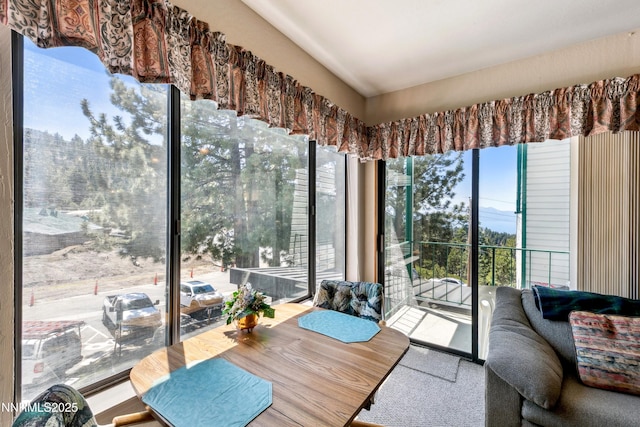 313 Tramway Dr Unit 20, Stateline, NV 89449 - photo 9