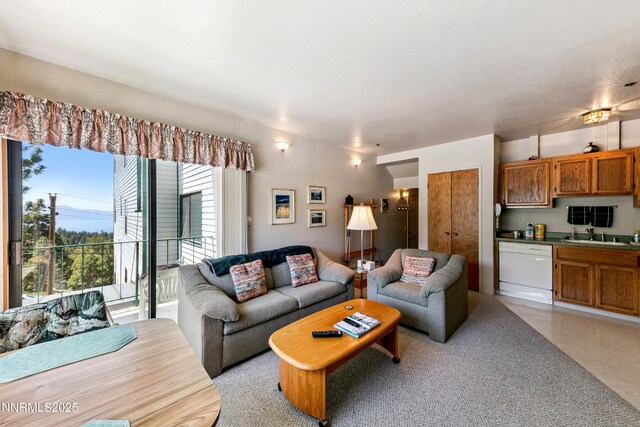 313 Tramway Dr Unit 20, Stateline, NV 89449 - photo 5