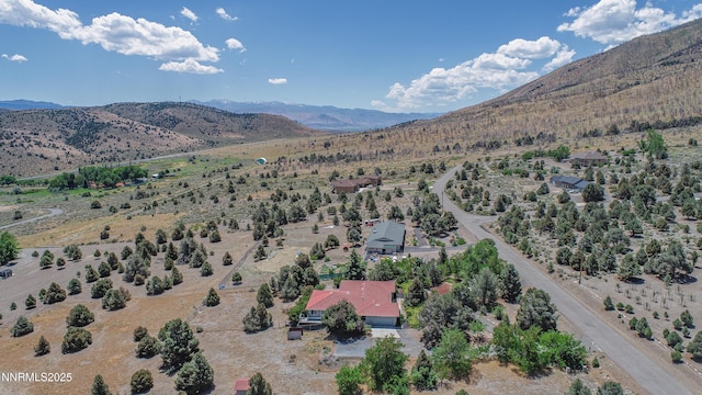 1561 Alba Vis, Gardnerville, NV 89410 - drone / aerial view of mountains
