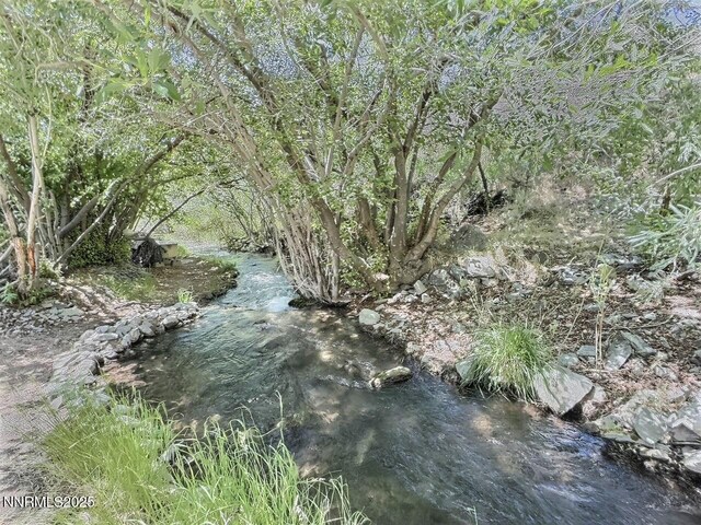 113 Victorine Dr, Kingston, NV 89310 - photo 27
