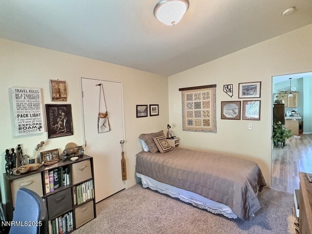 113 Victorine Dr, Kingston, NV 89310 - photo 19