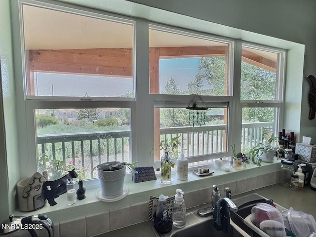 113 Victorine Dr, Kingston, NV 89310 - photo 13