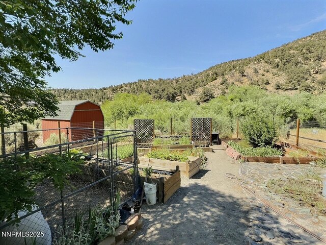 113 Victorine Dr, Kingston, NV 89310 - photo 32