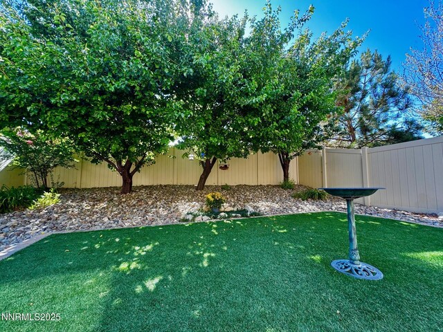 11044 Lamour Ln, Reno, NV 89521 - photo 21