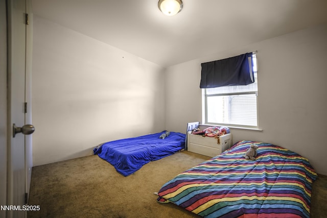 6265 Sandi Dr, Winnemucca, NV 89445 - photo 17
