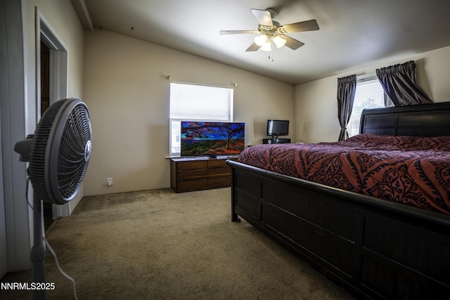 6265 Sandi Dr, Winnemucca, NV 89445 - photo 21