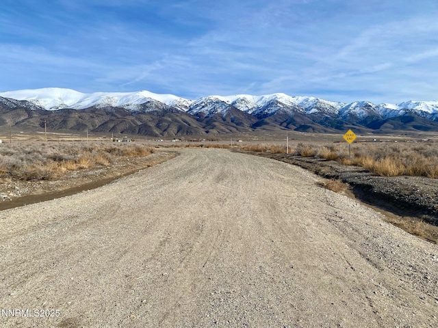 22510 Prosser Ct, Lovelock, NV 89419 - photo 11