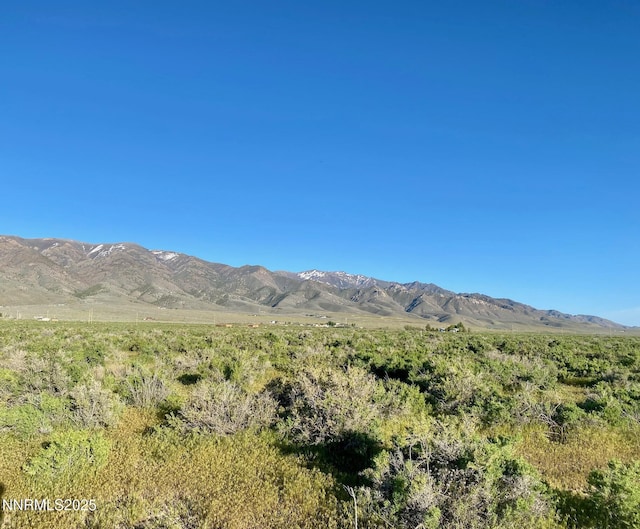 22510 Prosser Ct, Lovelock, NV 89419 - photo 4