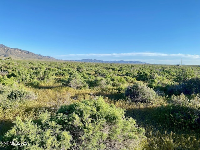 22510 Prosser Ct, Lovelock, NV 89419 - photo 10
