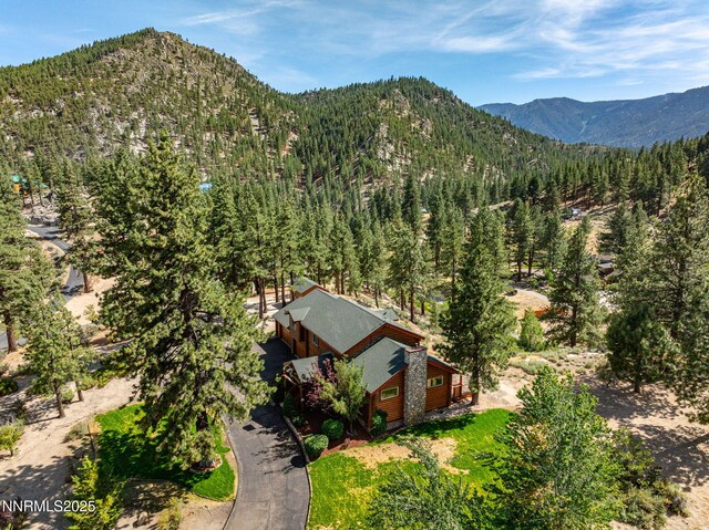 4684 Old Clear Creek Rd, Carson City, NV 89705 - photo 7