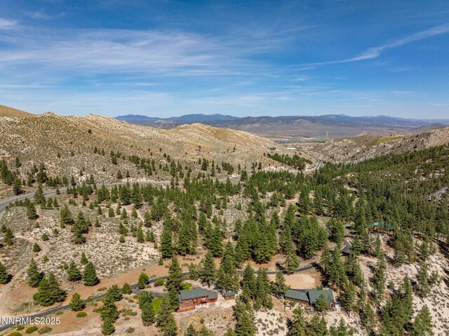 4684 Old Clear Creek Rd, Carson City, NV 89705 - photo 8