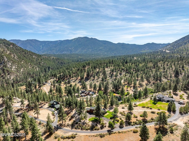 4684 Old Clear Creek Rd, Carson City, NV 89705 - photo 9