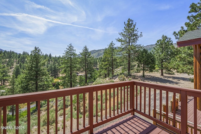4684 Old Clear Creek Rd, Carson City, NV 89705 - photo 29