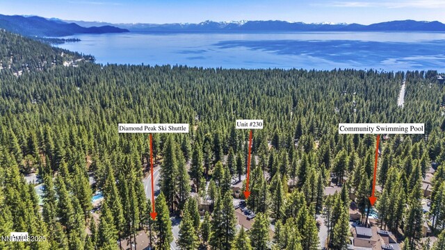 321 Ski Way Unit 230, Incline Village, NV 89451 - photo 3