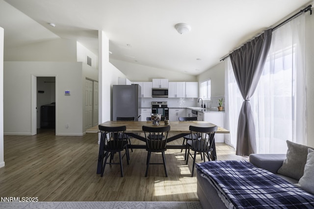 117 Relief Springs Rd, Fernley, NV 89408 - photo 6