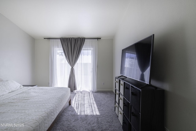 117 Relief Springs Rd, Fernley, NV 89408 - photo 12
