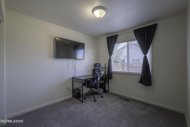 117 Relief Springs Rd, Fernley, NV 89408 - photo 14