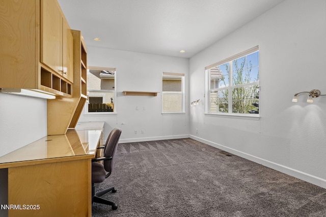 3300 Dog Leg Dr, Minden, NV 89423 - photo 19