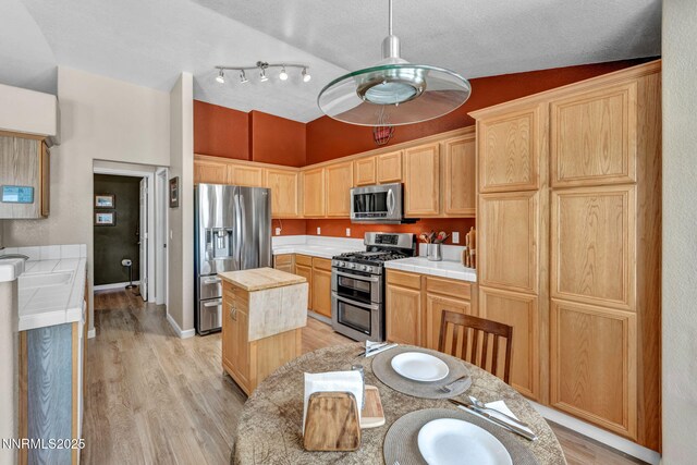 2962 Del Rio Ln, Minden, NV 89423 - photo 13