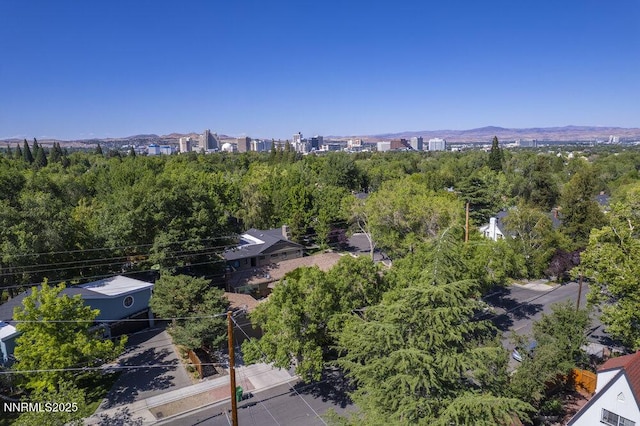 1120 Monroe Ct, Reno, NV 89509 - photo 52