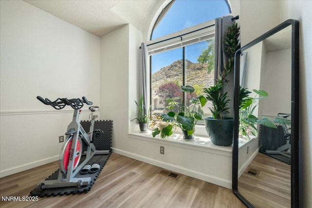 4318 Leeward Ln, Reno, NV 89502 - exercise area featuring wood finished floors and a textured ceiling