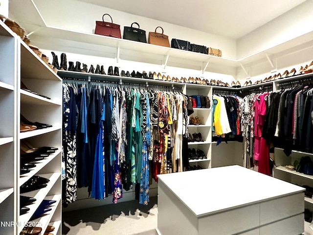 5454 Side Saddle Trl, Reno, NV 89511 - view of spacious closet