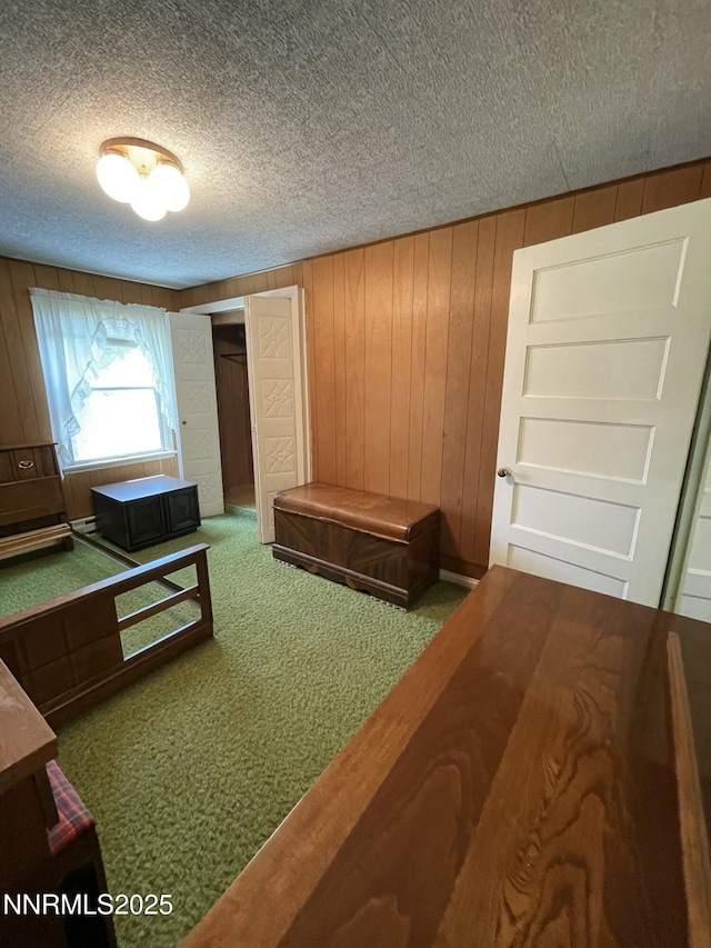 4 3rd St, Mcgill, NV 89318 - carpeted bedroom with a textured ceiling, wood walls, and a closet