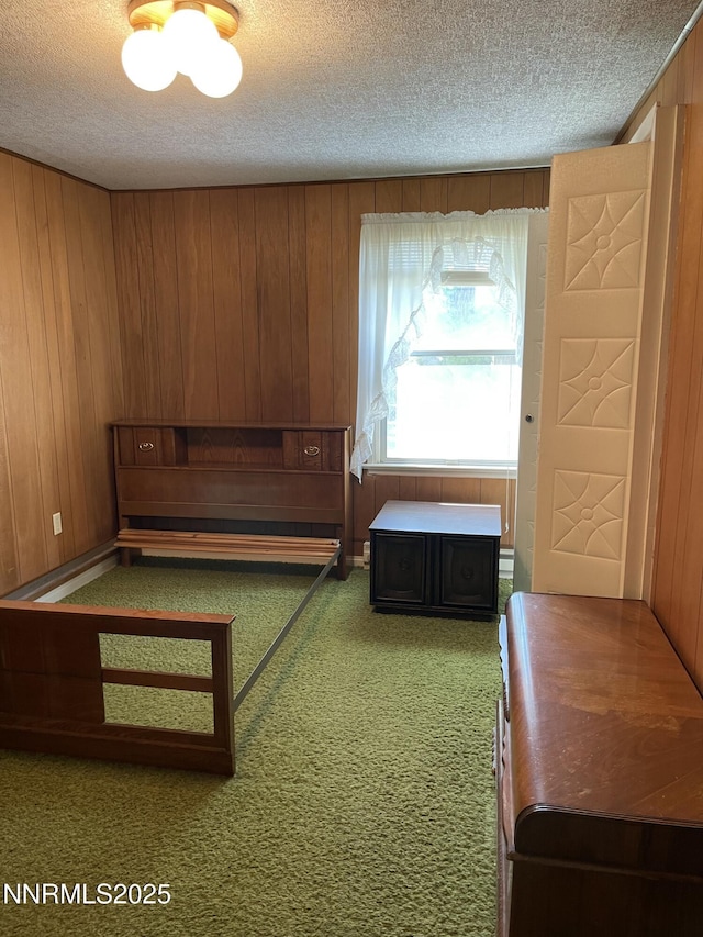 4 3rd St, Mcgill, NV 89318 - carpeted bedroom featuring a textured ceiling and wooden walls