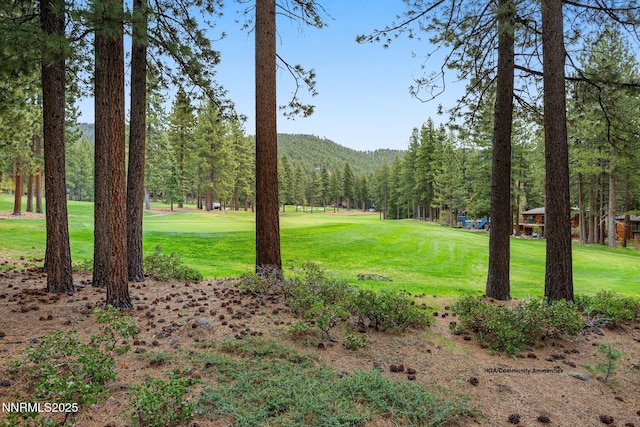 908 Harold Dr Unit 38, Incline Village, NV 89451 - photo 41