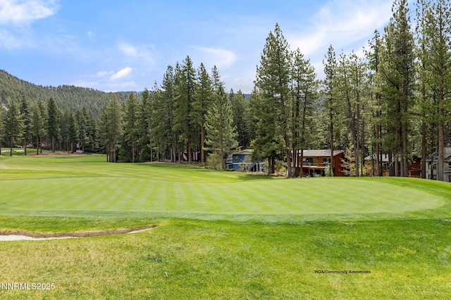 908 Harold Dr Unit 38, Incline Village, NV 89451 - photo 42