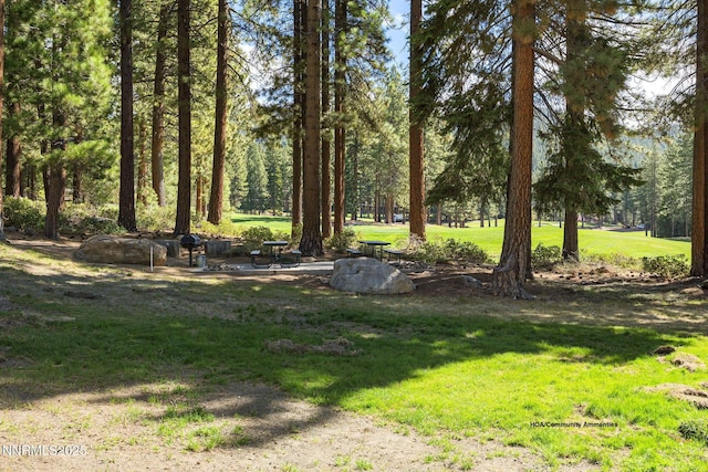 908 Harold Dr Unit 38, Incline Village, NV 89451 - photo 44
