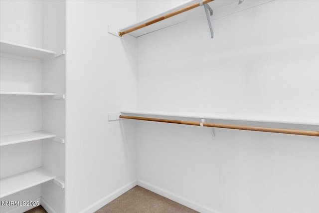 1797 Lantana Dr, Minden, NV 89423 - walk in closet featuring carpet