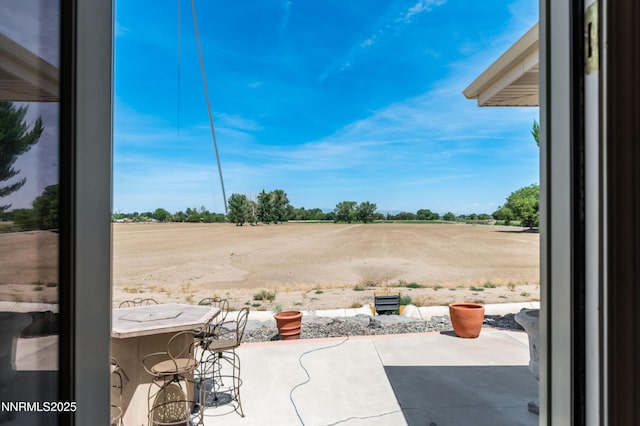 4433 Casey Rd, Fallon, NV 89406 - photo 62