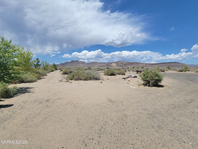 9850 Via Camino St, Silver Springs, NV 89429