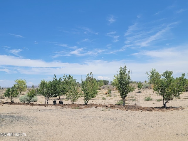 9850 Via Camino St, Silver Springs, NV 89429