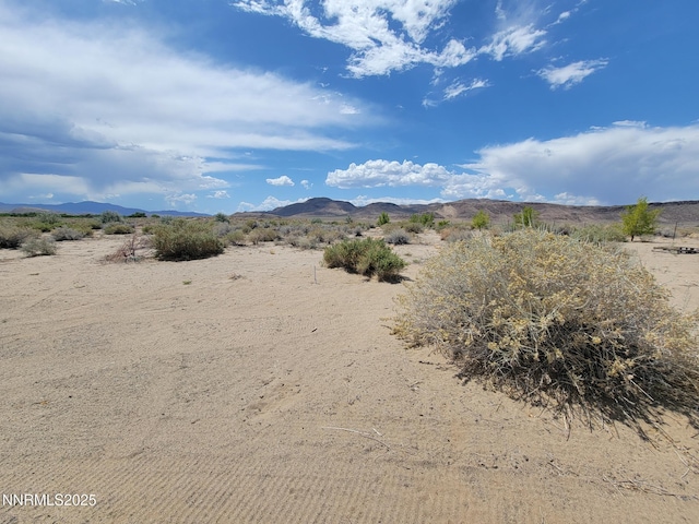 9850 Via Camino St, Silver Springs, NV 89429