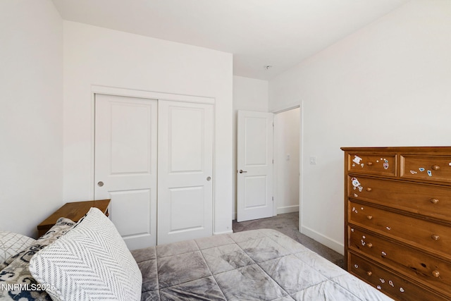 1149 Dapple Dr, Minden, NV 89423 - bedroom featuring a closet and carpet floors