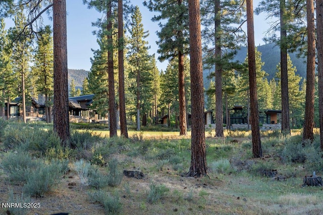 191 Cartwright Ct Unit 246, Carson City, NV 89705 - photo 10