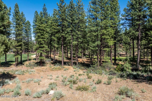 191 Cartwright Ct Unit 246, Carson City, NV 89705 - photo 28