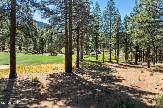 191 Cartwright Ct Unit 246, Carson City, NV 89705 - photo 29