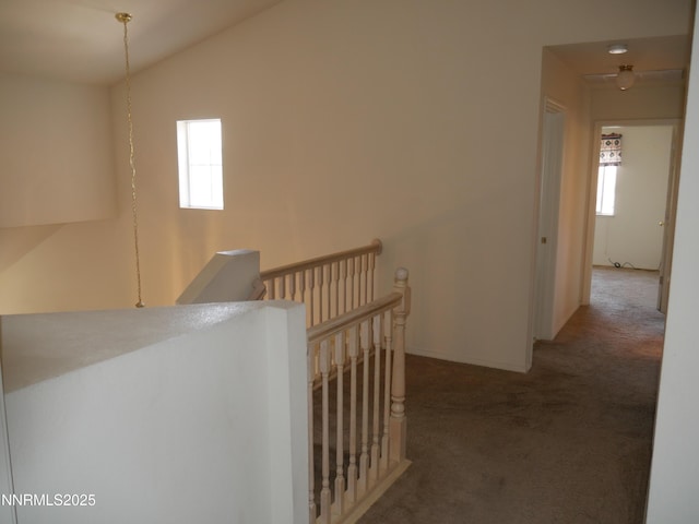 5554 Tappan Dr, Reno, NV 89523 - photo 33