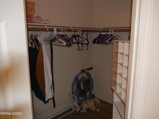 5554 Tappan Dr, Reno, NV 89523 - photo 27