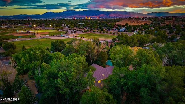 7435 Shadow Ln, Sparks, NV 89434 - photo 46