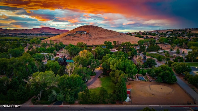 7435 Shadow Ln, Sparks, NV 89434 - photo 45